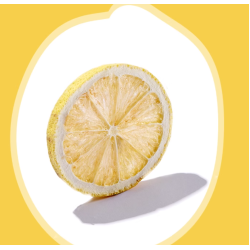 Freeze-dried lemon slices